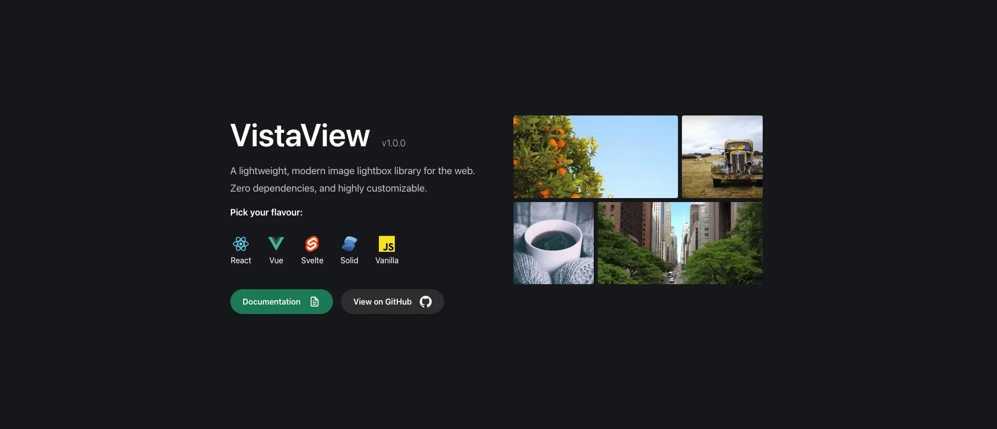 VistaView